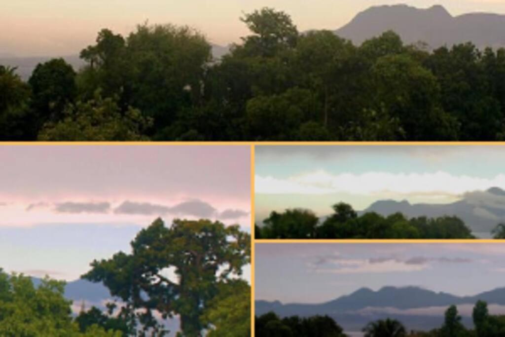 Jolie Studette Dans Un Environnement Arbore Les Abymes Dış mekan fotoğraf